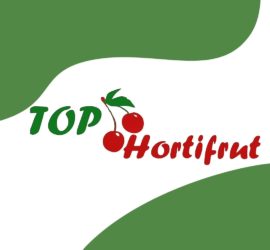 Top Hort Frut