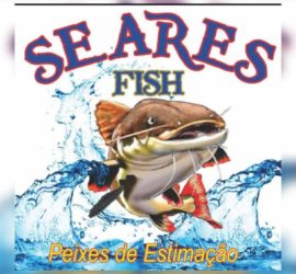 Seares Fish
