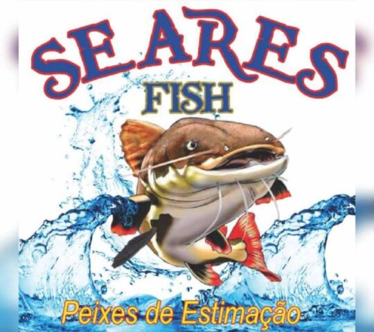 Seares Fish
